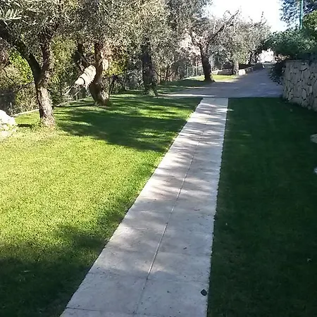 La Tana